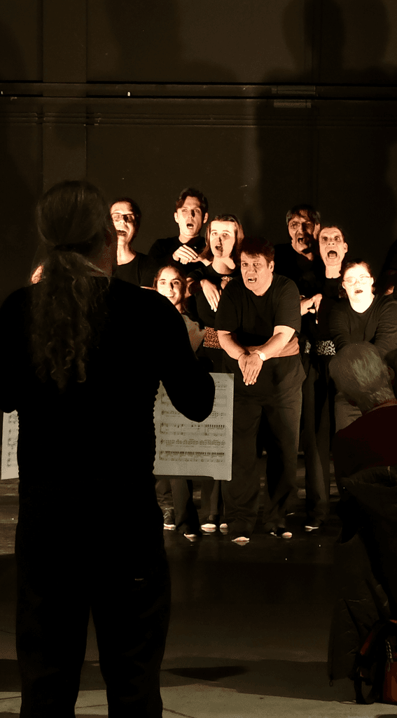 Inklusiver Tanz- und Musicalabend mit der Minotauros Kompanie - ein ganz besonderes FSJ- Abschlussprojekt 7 image